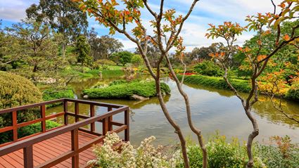 Japanese Garden - Cowra 